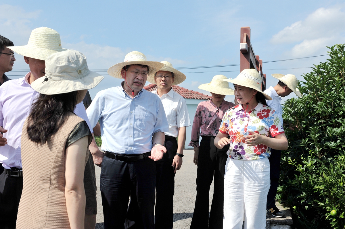 邓秀新调研习家岗柑橘场“515”院士专家科技服务示范基地（记者 徐行 摄）_副本