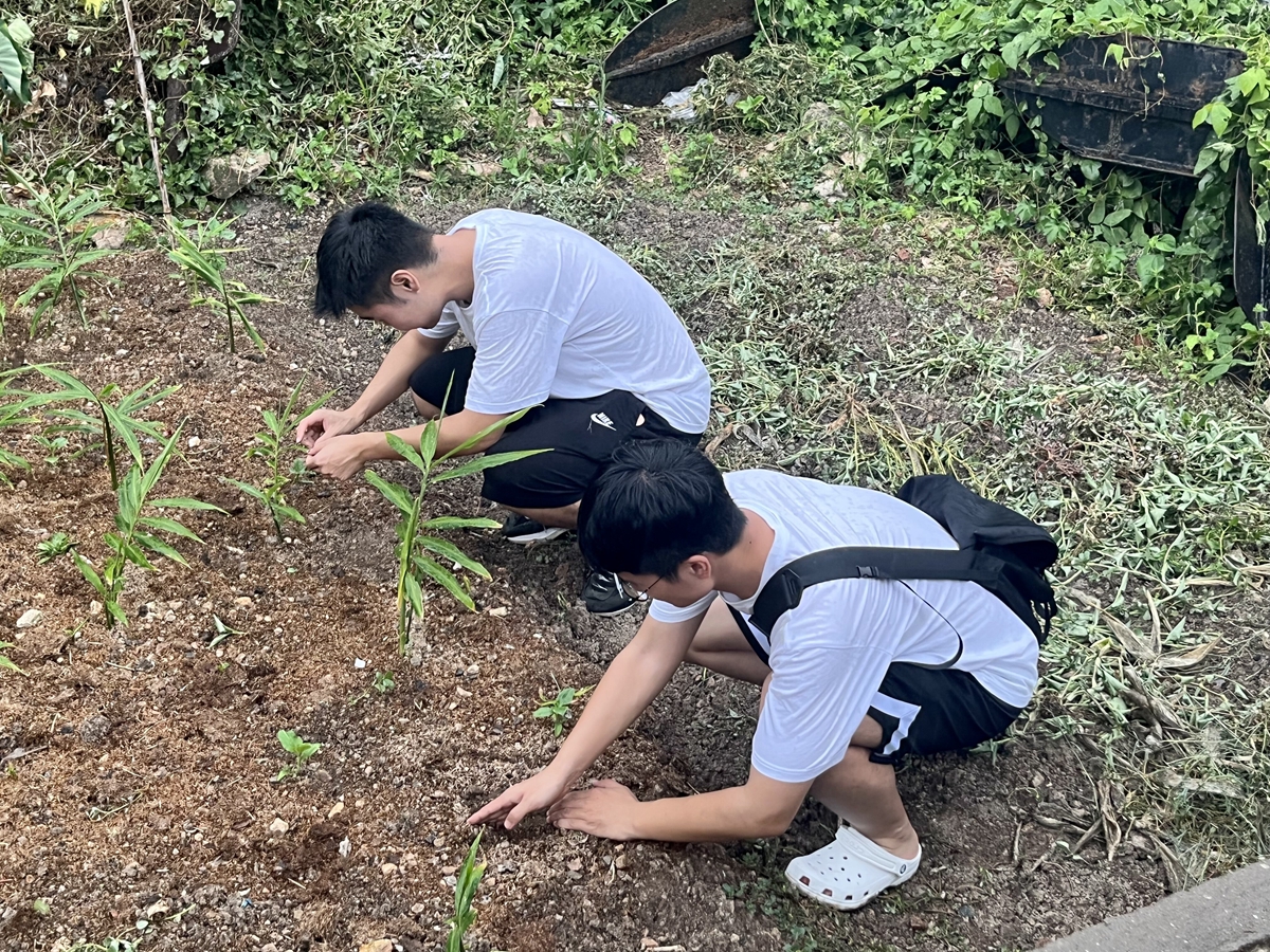 实践队员对当地植被和土壤进行采样 （实践团供图）