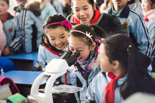 同学们对显微镜下的微生物充满了好奇（学通社记者 彭雨格 摄）