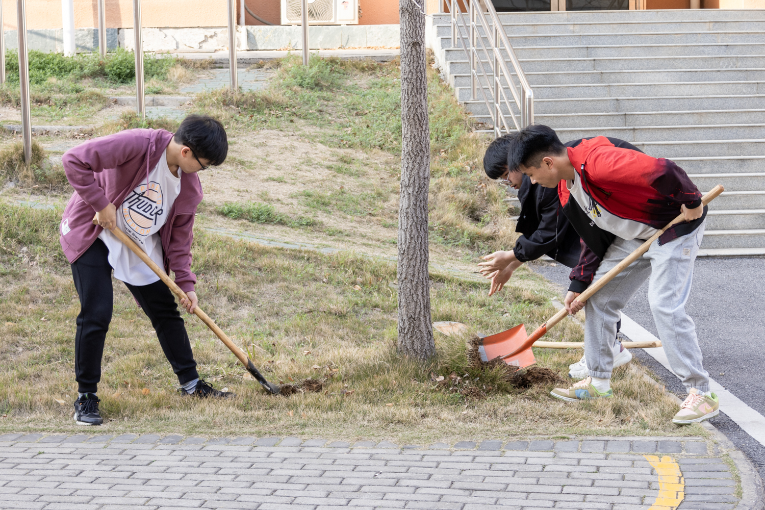 7学生体验松土(学通社记者 李佳怡 摄）