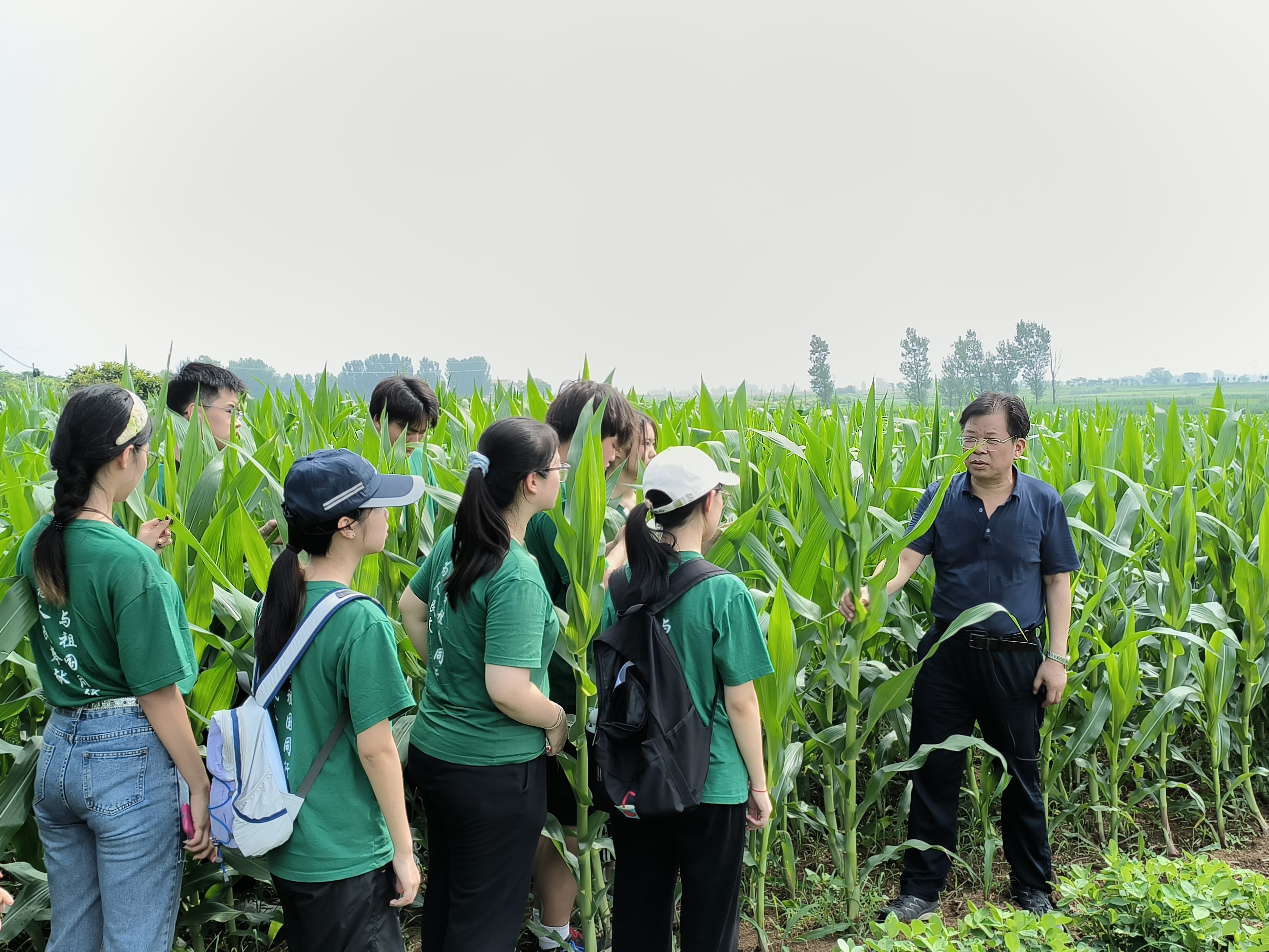 廖庆喜在玉米田里为学生讲解作物种植要点