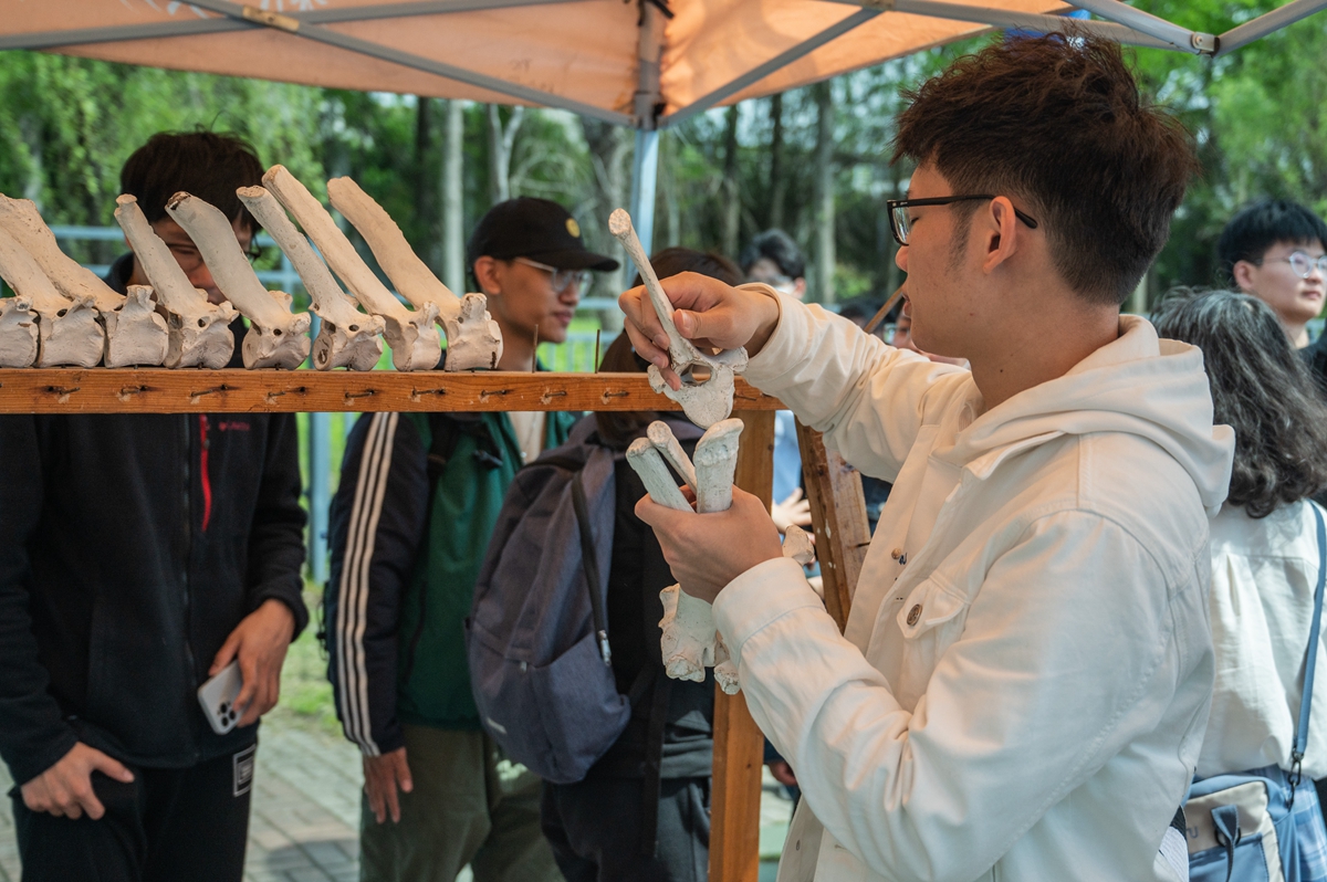 按顺序拼（学通社记者 梁雨霏摄）