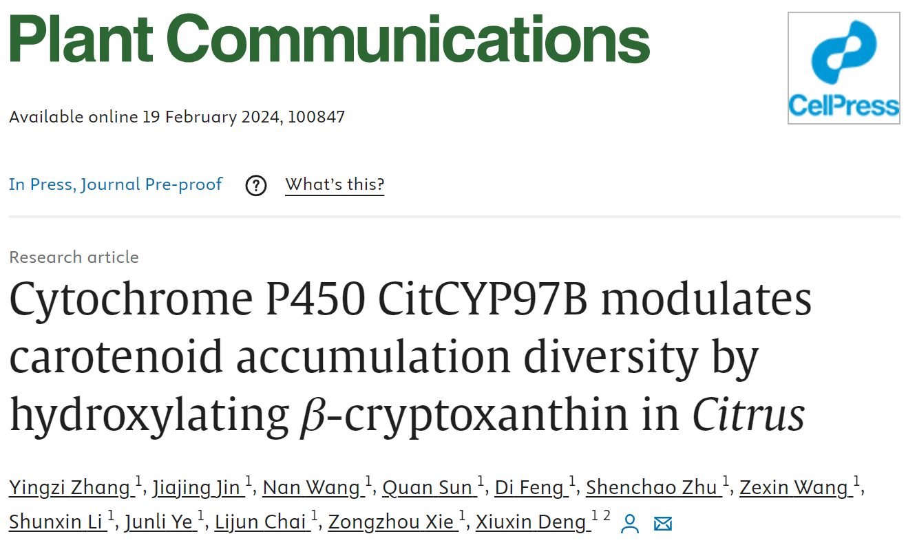 文章发表网站图片