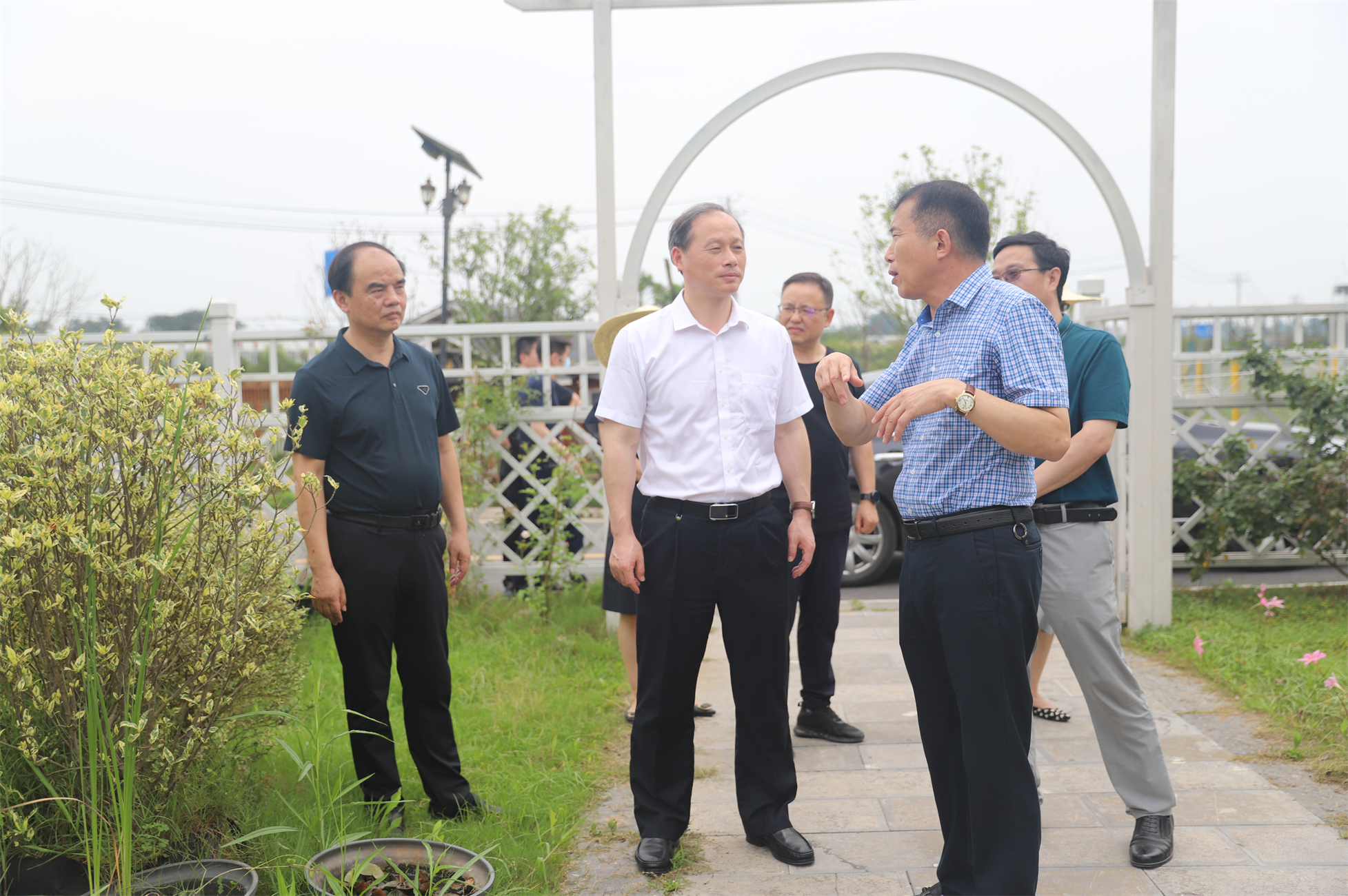 调研来龙村辰龙花卉产业基地