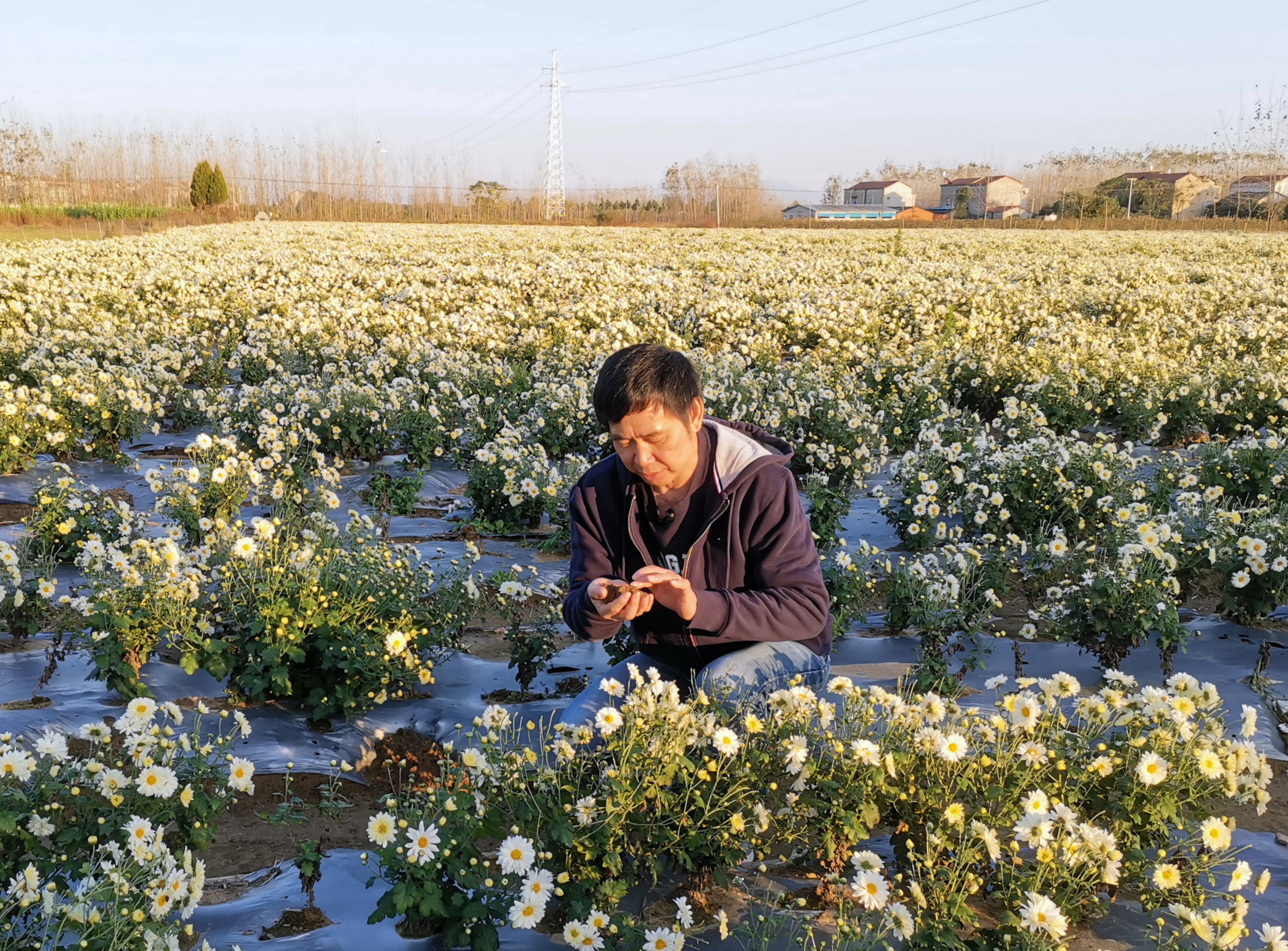 张老师在农村调研（刘蒙罢 供图）