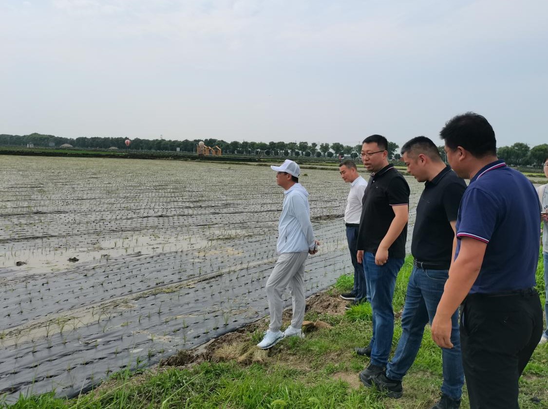 地膜指导组一行实地观摩指导