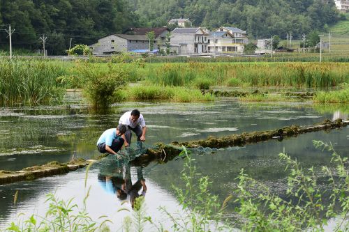 高翅在国硒冷水鱼公司查看水产品养殖情况