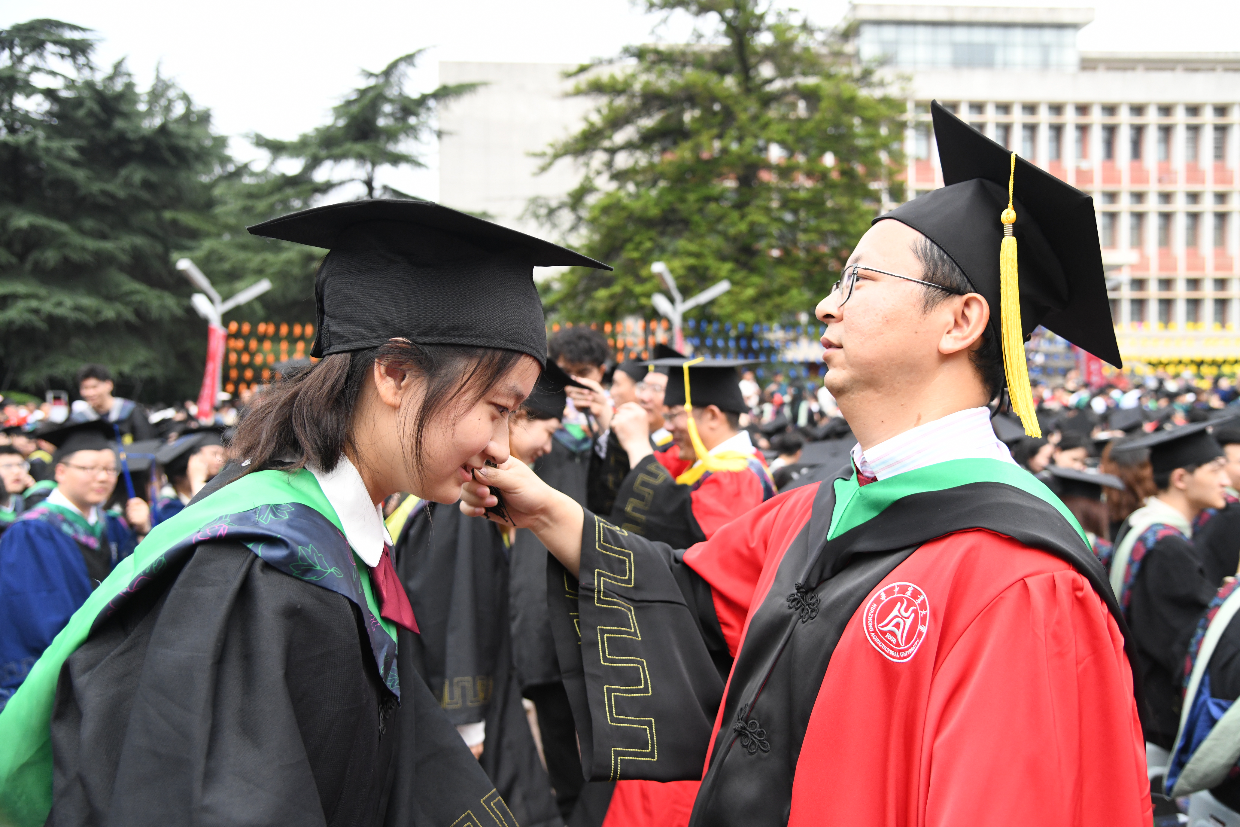 6月23日，华中农业大学毕业典礼暨学位授予仪式现场，资源与环境学院蔡鹏教授为吕奇蔚行拨穗礼（徐行 摄）