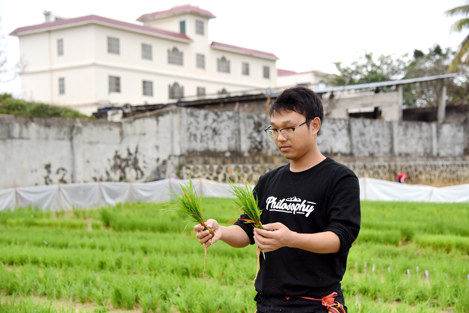 刘京都同学比较观察“加代”植株