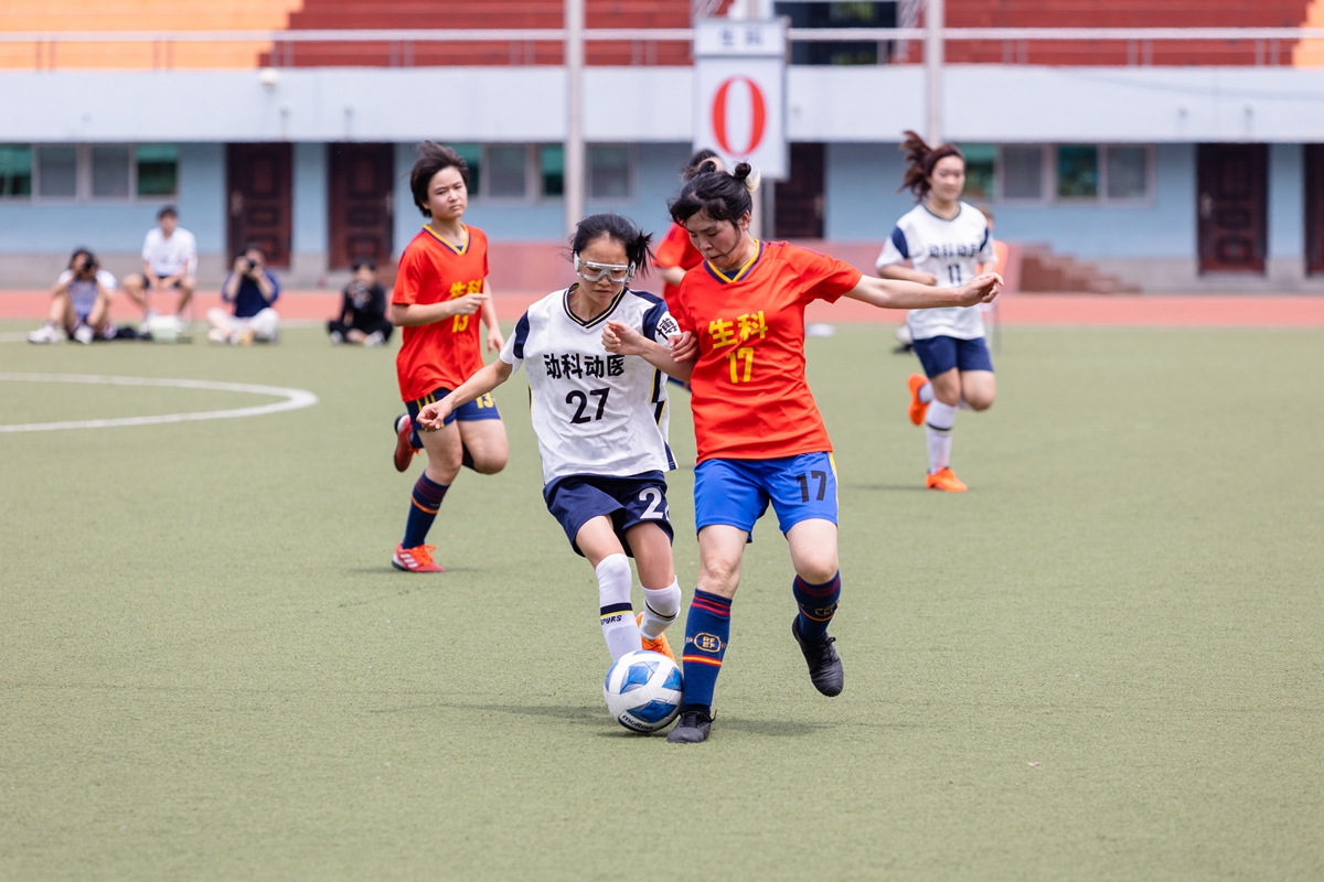 3 每球必争（图为动科动医学院27号徐小琴与生科学院17号李若楠对位争抢）（通讯员 侯国涛 摄）