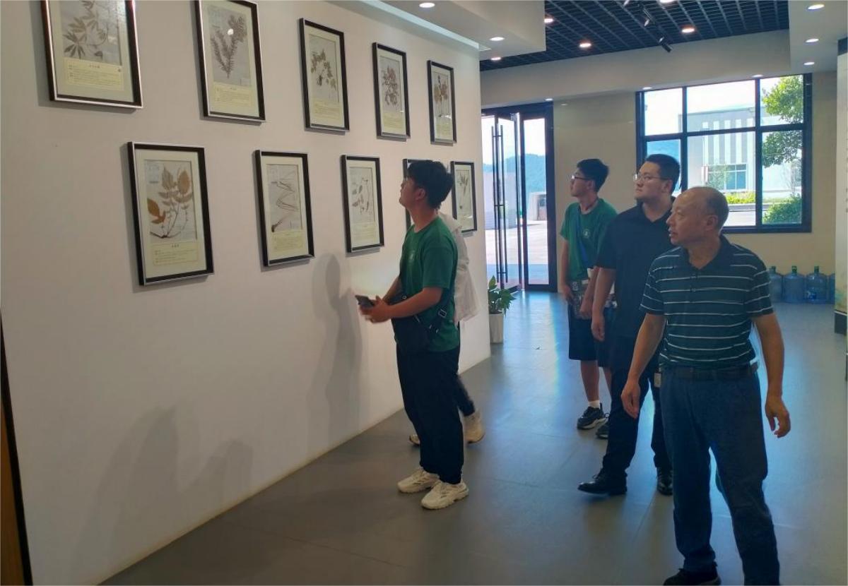 何经理引导团队成员参观欣中医药标本展厅（马克思主义学院 供图）(1)