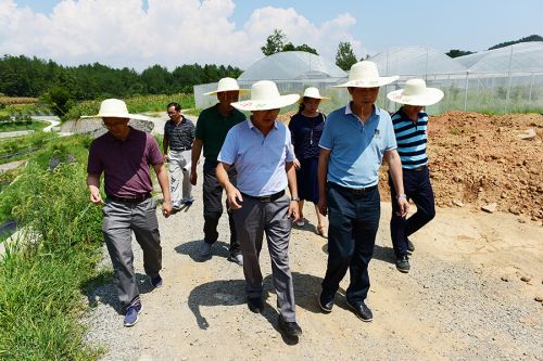 2高翅一行查看武陵山区特色园艺良繁中心建设进度 拷贝