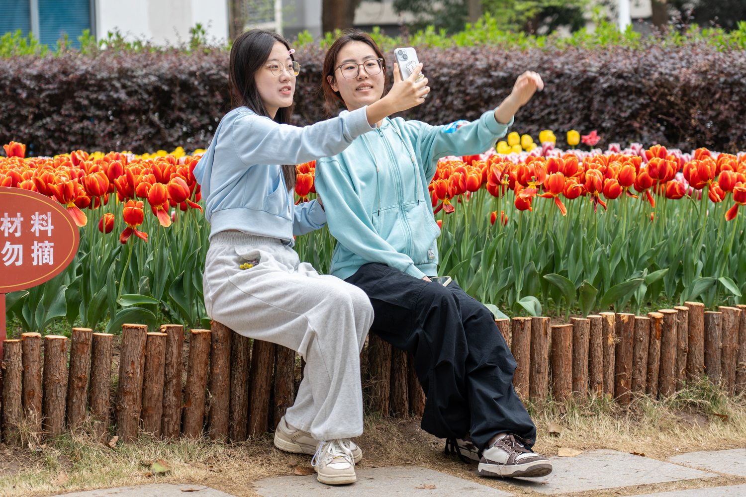 参赛同学在郁金香花田合照（学通社记者 韩鑫垚 摄）