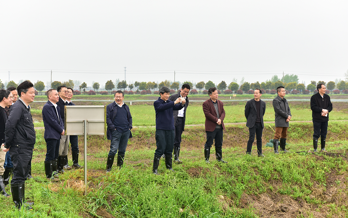 高翅一行考察双水双绿基地