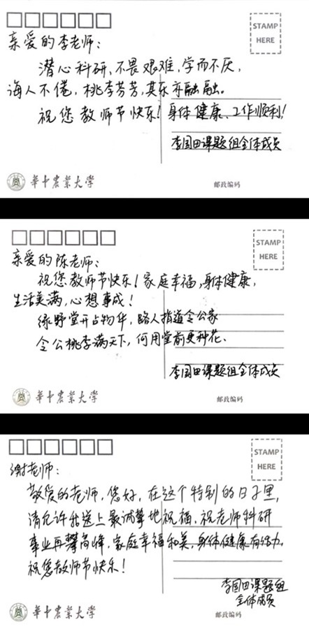 同学们的贺卡感言（受访者 供图）