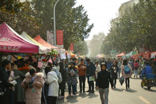 人山人海的荟园主干道(学通社记者 蒲振 摄)