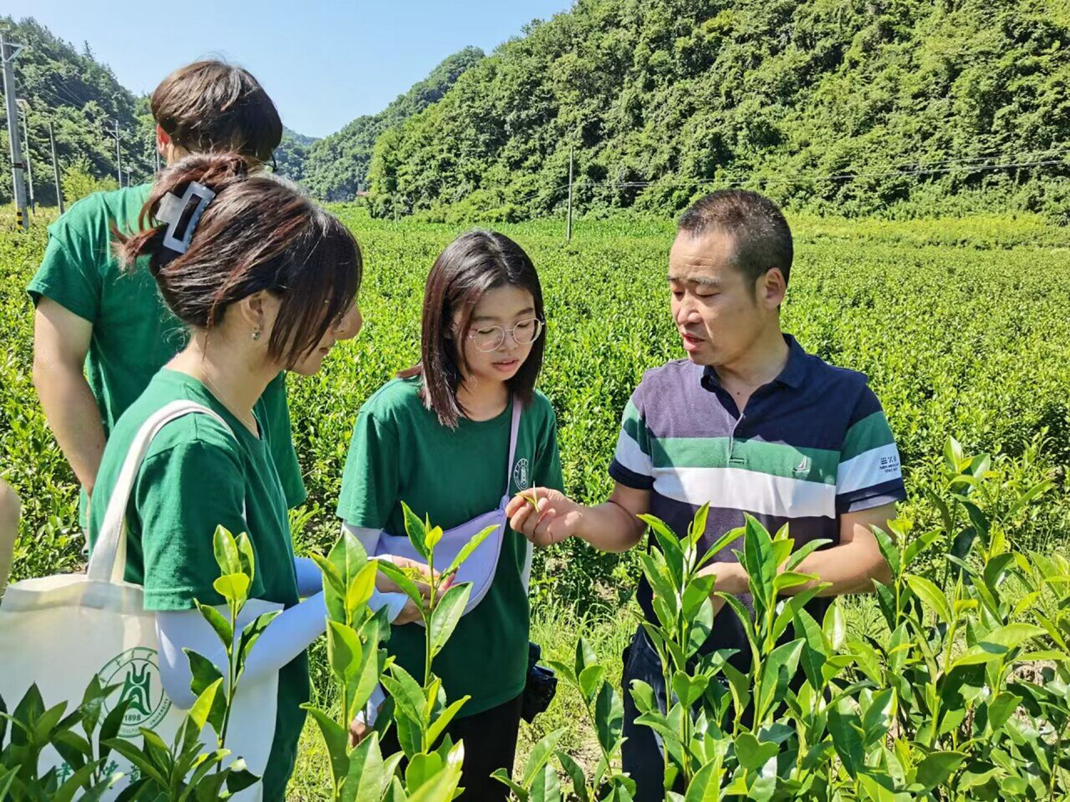 同学们向孙明学习采茶_proc_副本