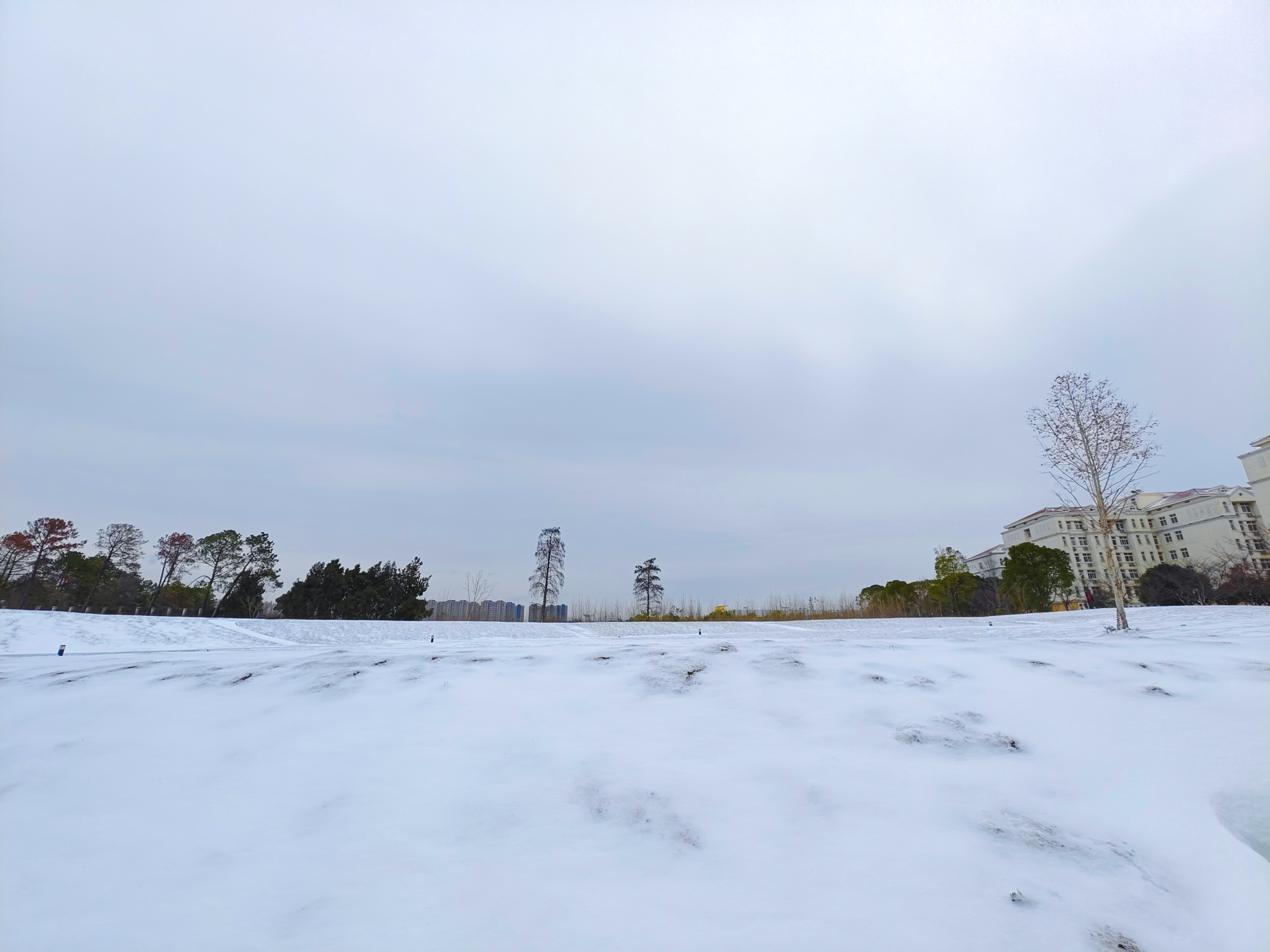 雪中乐乐园（刘涛 摄）