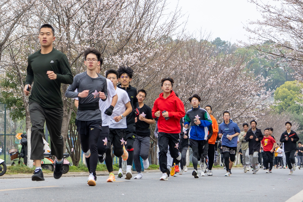 4 路过樱花大道3（学通社记者 魏洪博 摄）