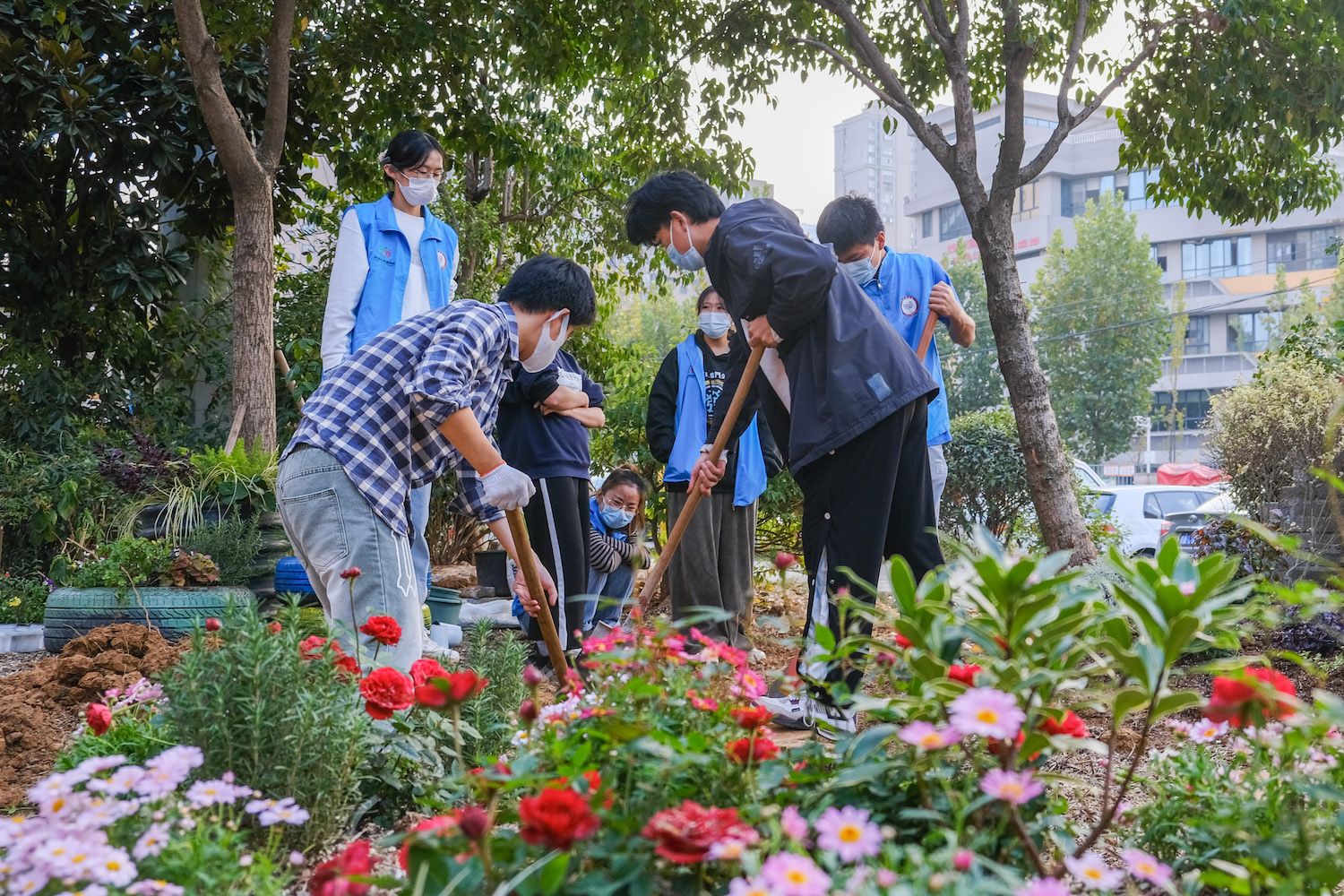 3.志愿者联合居民美化人居环境