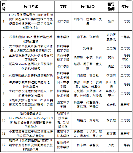 科学探究类获奖项目情况