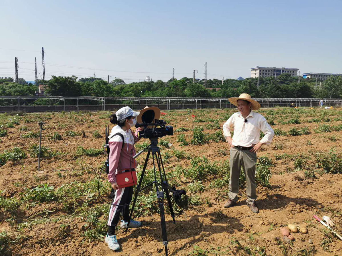 宋波涛教授在现代农业科技试验基地直播