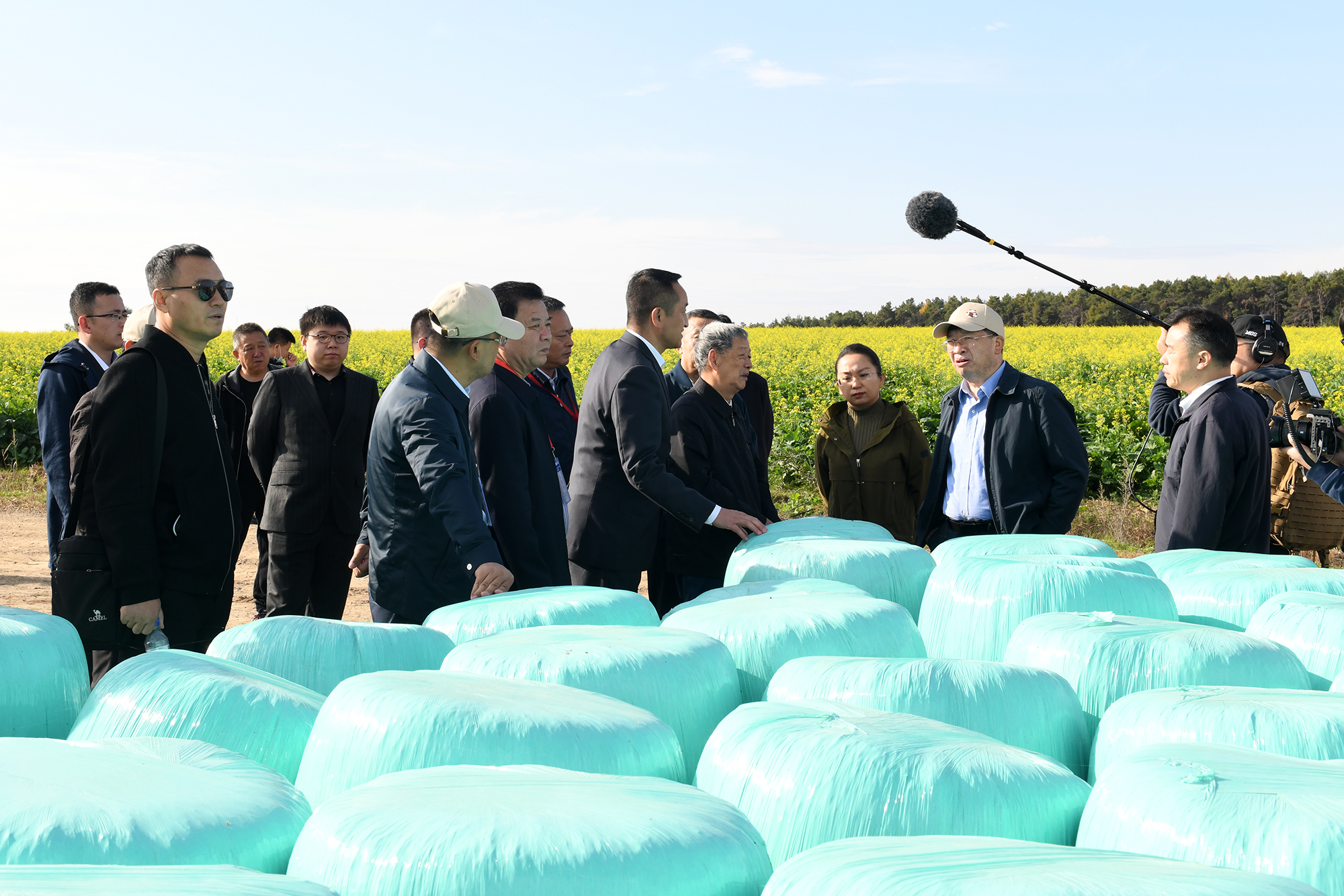 邓秀新、傅廷栋等在新湖镇油菜种植场地查看青贮油菜（记者 刘涛 摄）