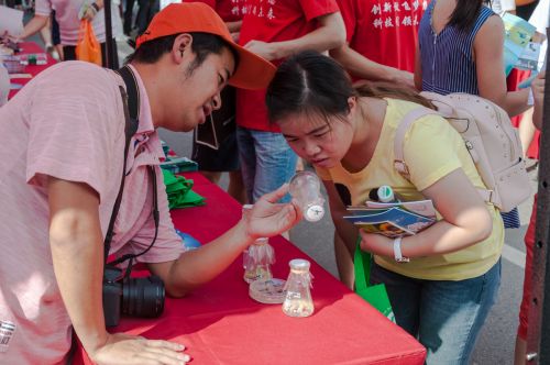 仔细观察转基因水稻细胞【赵德鸿】