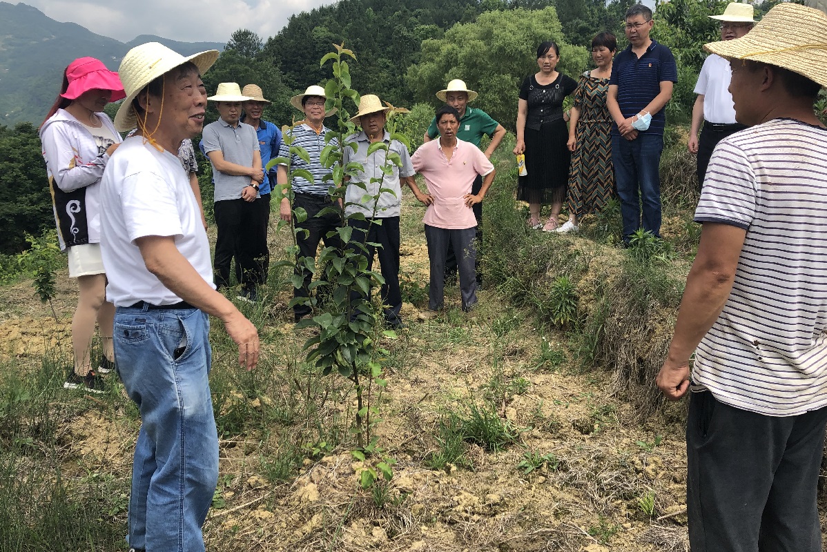 蔡礼鸿教授现场开展技术指导与培训