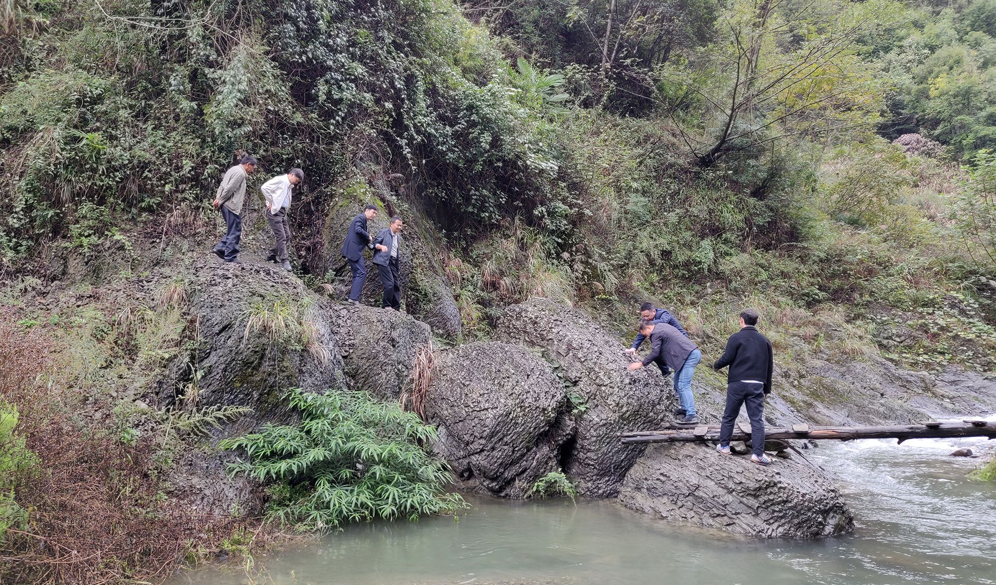 支部党员群众前往东门溪村枸杞种植地