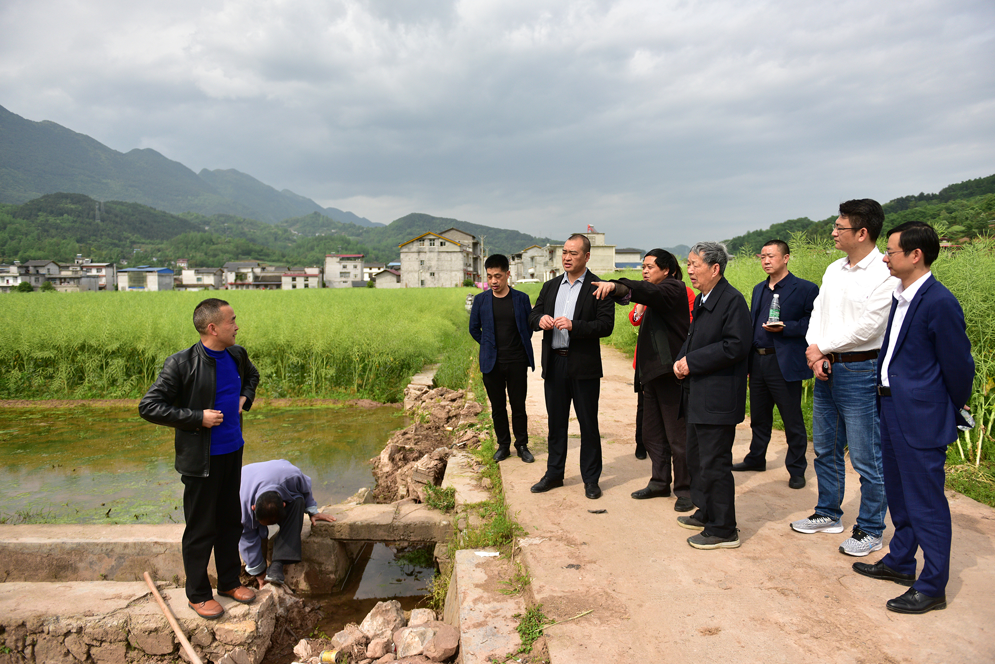 傅廷栋院士28日下午在三里河乡河水坪村调研油菜产业（记者 刘涛 摄）