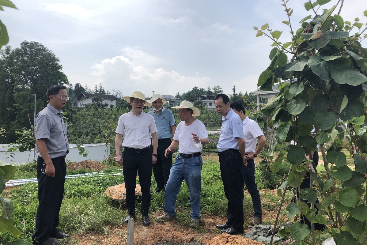 廖济忠一行查看武陵山特色园艺作物良种繁育中心受灾和重建情况