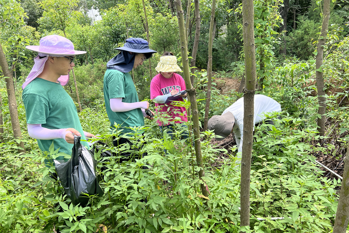 第一次学习入侵植物取样记录 贾琦敏