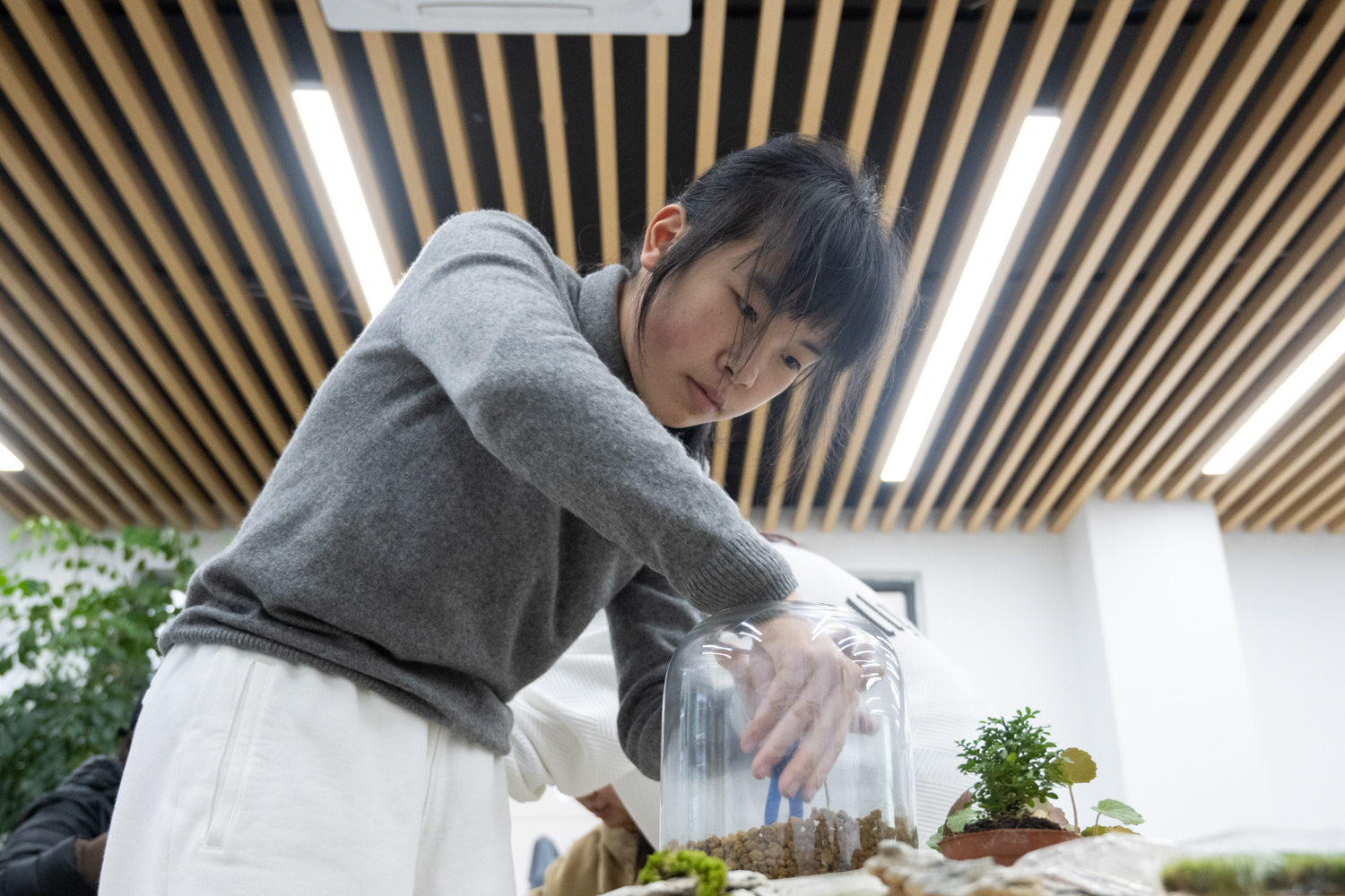 同学在制作生态缸(学通社记者 郦雪怡 摄)