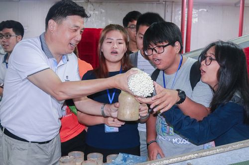 边银丙教授给同学们展示工厂化生产金针菇