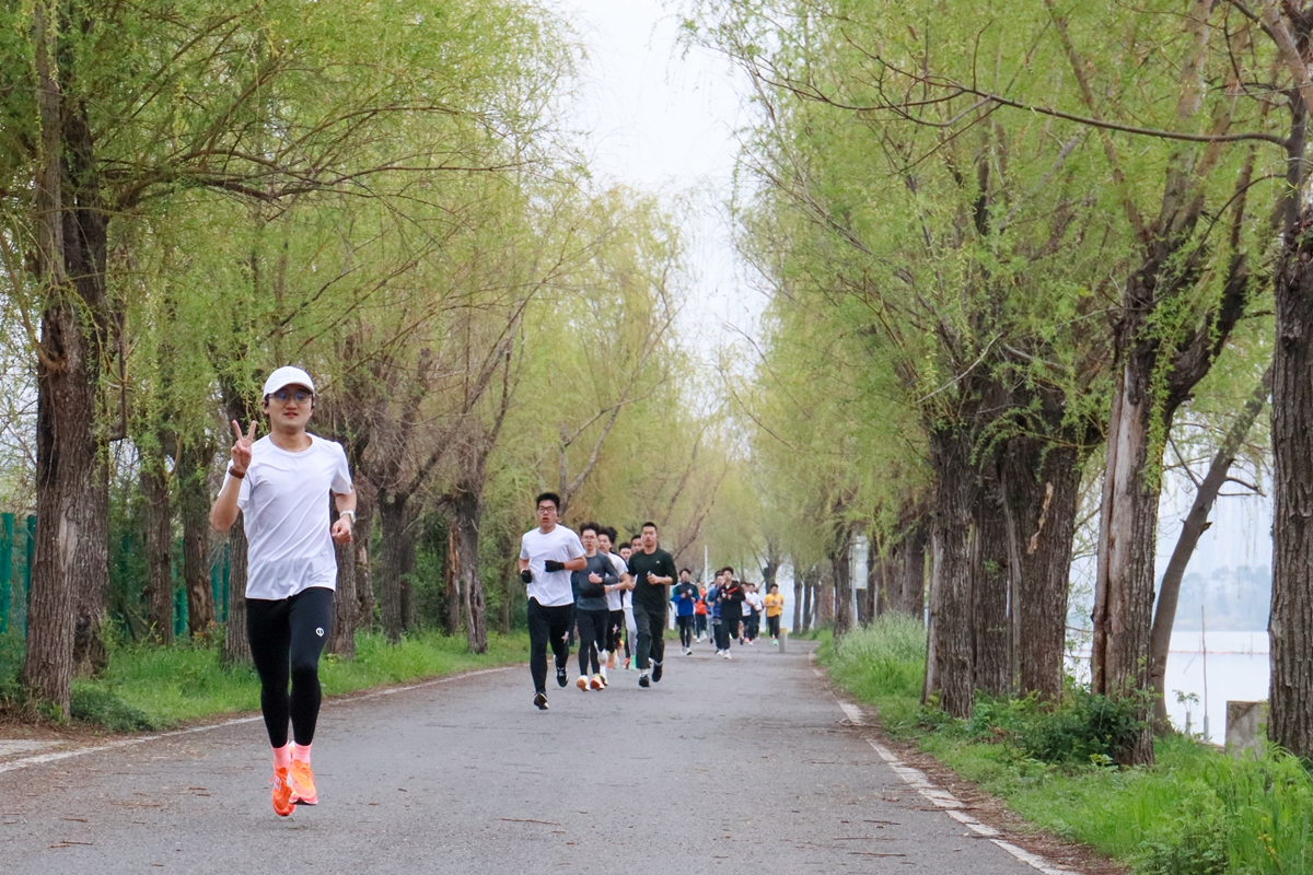 8 南湖边柳树道上的奔跑者(学通社记者 姬心怡 摄)