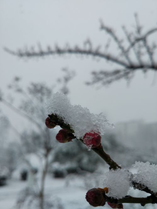 我自仰天笑痴狂--杜婷婷