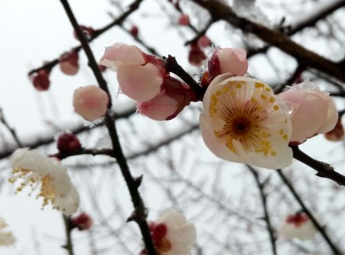 新建文件夹QQ图片20160201145906