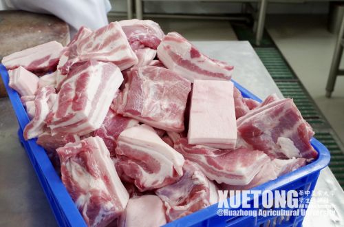 21.新鲜的（五花？）肉