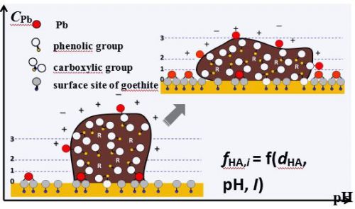 图2氧化铁-水界面Pb吸附特征与胡敏酸分子分布特征示意图（放置于正文第一段后）