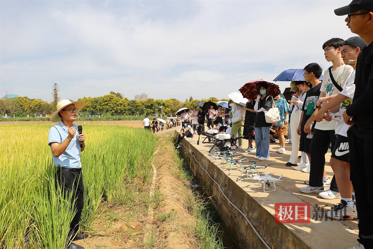 体验无人机智慧农业