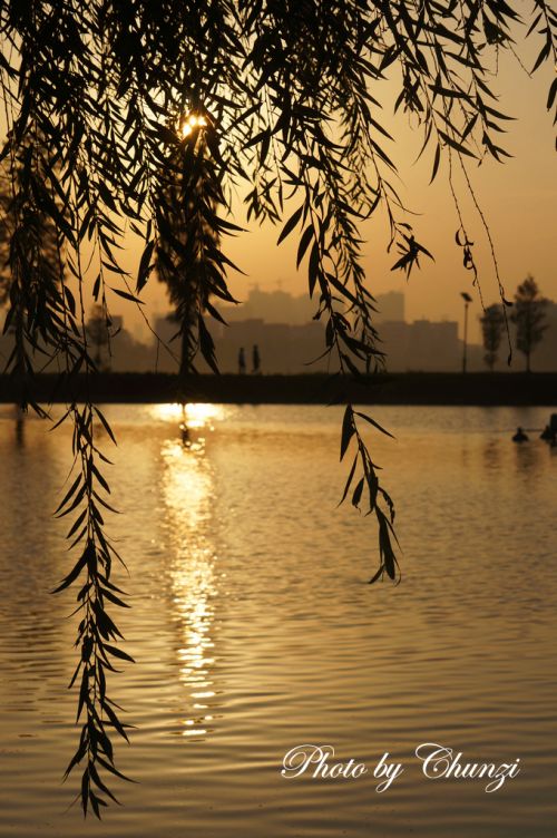 一轮红日从南湖对岸升起