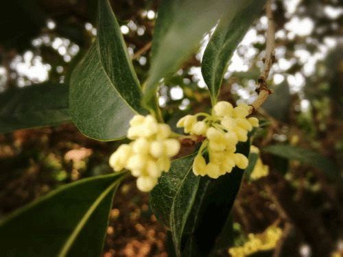 F0092208B22E10D8C324FA1042035FE4(1)