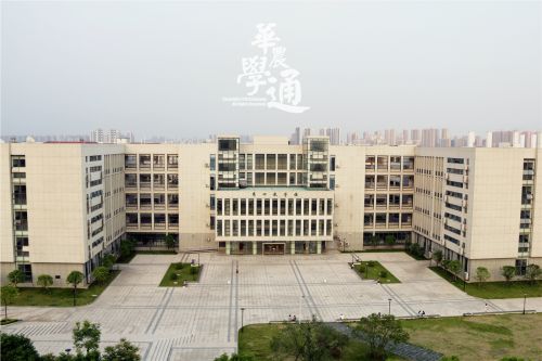 12.教室中上课的你我,是否在铃声响起前,心思飞扬。