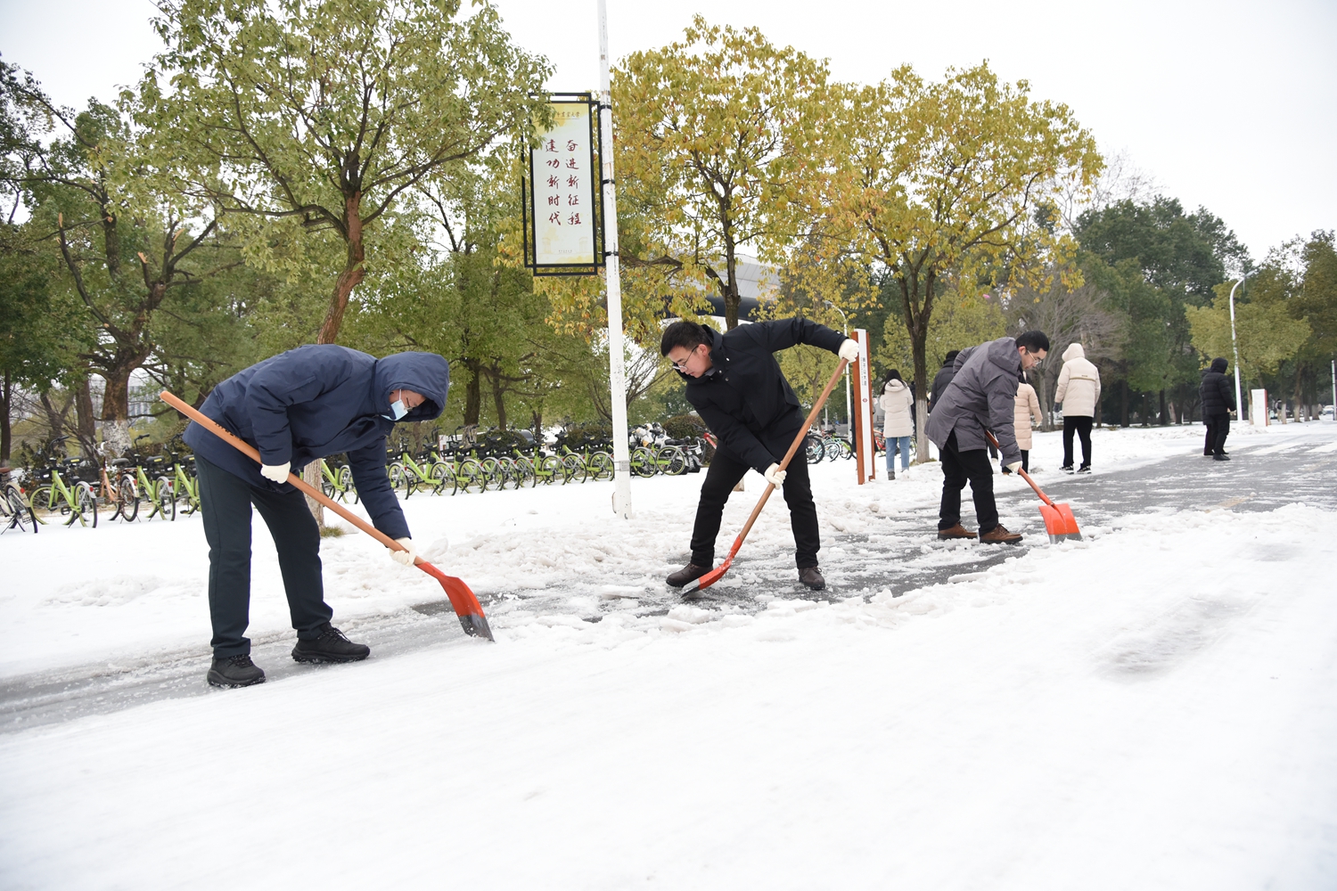 经济管理学院干部师生除雪(蒋朝常 摄)