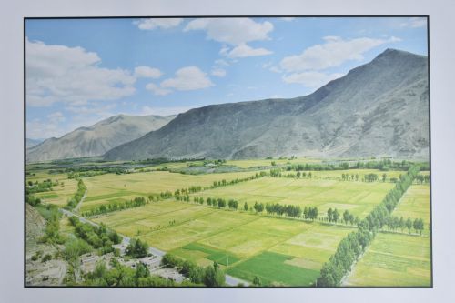 那片田（图三）