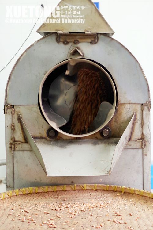 14.花生去壳（去皮？）