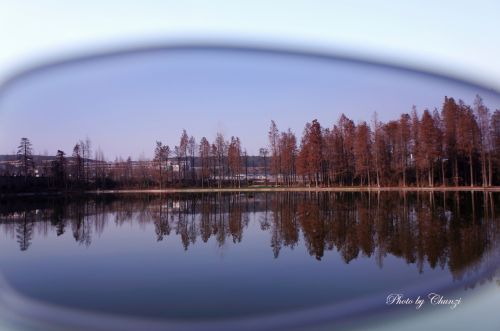 红树白水相照应,美景如画里