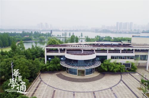 11.苍林翠竹中的大学生活动中心。