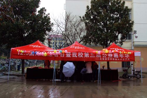 淋不灭的投票热情